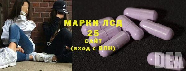 ГАЛЛЮЦИНОГЕННЫЕ ГРИБЫ Арсеньев
