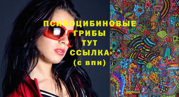 Альфа ПВП Аркадак